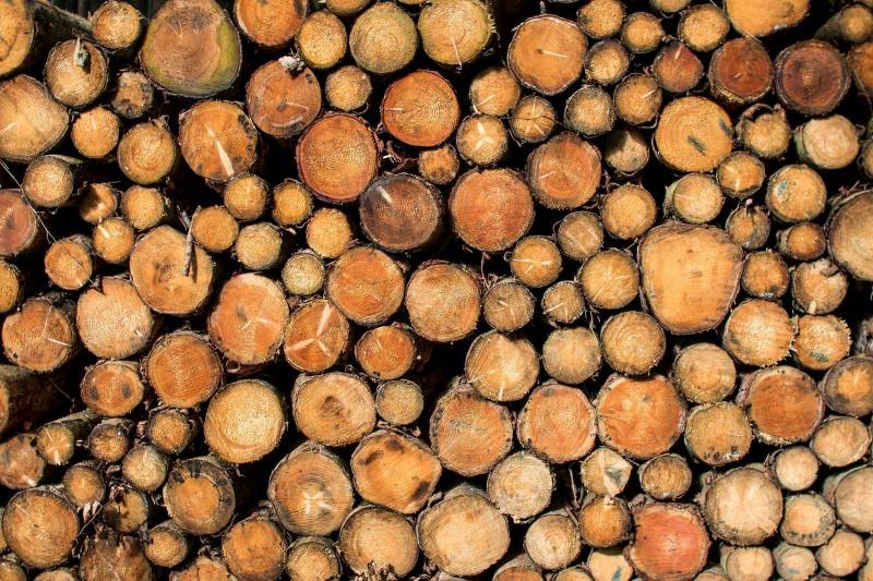 vente de bois de chauffage en 25cm