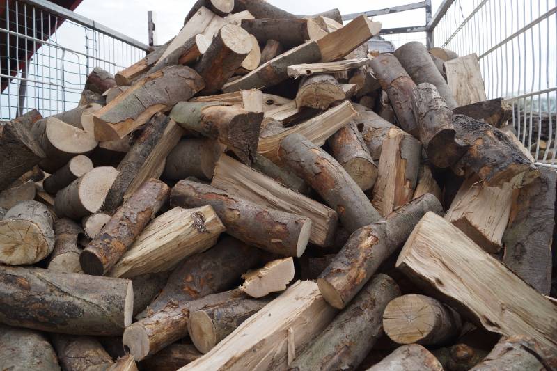 150 Bois de chauffage en bois de hêtre sec 33 cm de long 