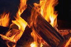 bois de chauffage de qualité 