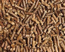 Litière pour animal proche de chez moi